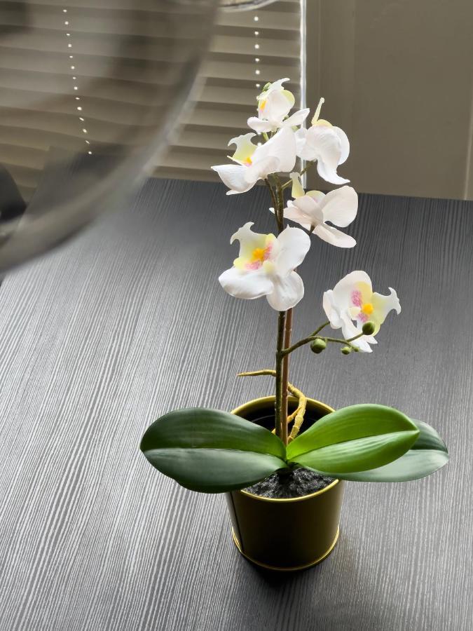 Design Wohnung Naehe Uni Koblenz  Dış mekan fotoğraf